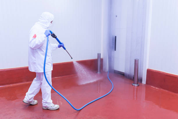 Best Roof Washing  in Weatherly, PA